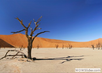 Namib Desert, Namibia