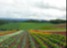 Summer in Hokkaido