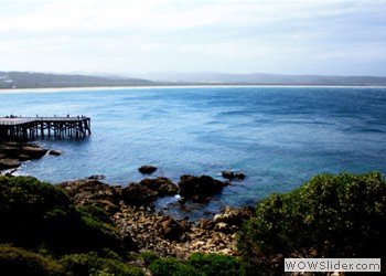 Summer in Australia