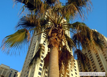 Hotel Booking in Dubai