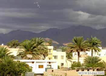 Aqaba Mountains, Jordan