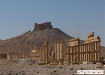 Old Roman City, Palmira