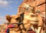 Camels in the Desert