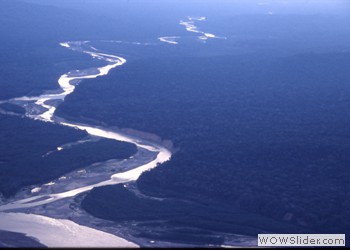 The Amazone River and Forest
