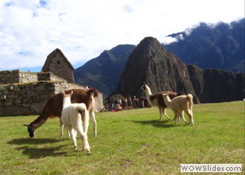Cachora, Peru