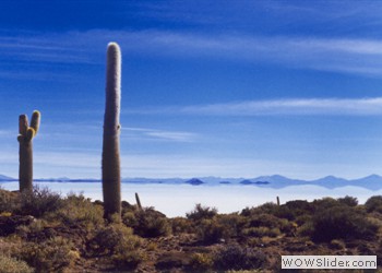 Uyuni Salt Flats, Bolivia